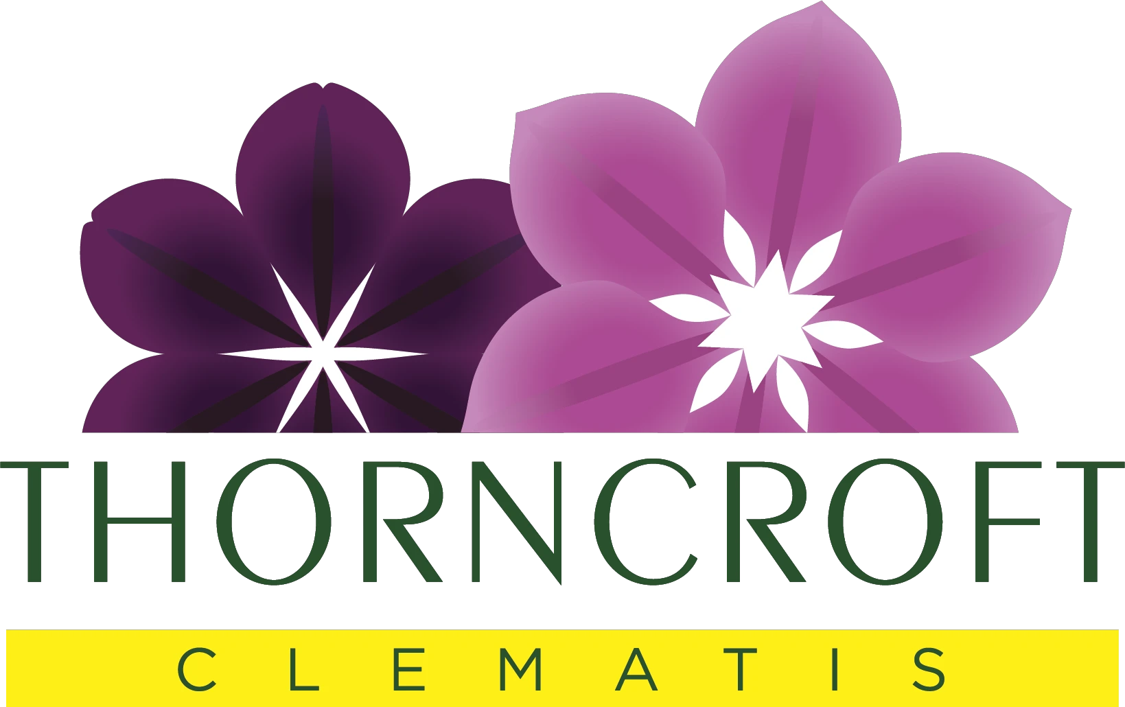  Thorncroft Clematis discount code