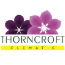 thorncroftclematis.co.uk