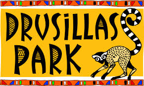  Drusillas Park discount code